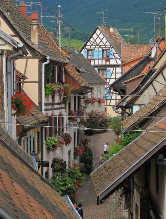 Gite Au Coeur D'Eguisheim Room photo